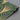 Hunt_3